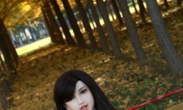 《暖秋》