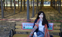 《暖秋》