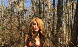 The Doll Album Hostage（001）【转载】