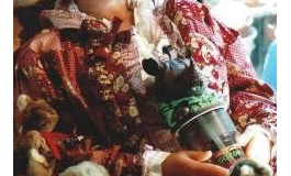 今日の一枚写真集 2009年（01）【转载】