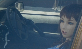 The Doll Album haremlover（003）【转载】