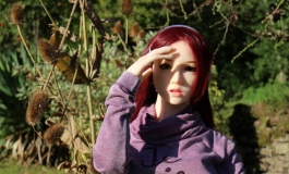 The Doll Album Dizius（002）【转载】