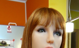 The Doll Album siliconefun（007）【转载】