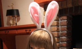 TROTTLA Bunnyballet【转载】