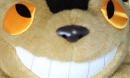 心ちゃんの写真日記（005）【转载】