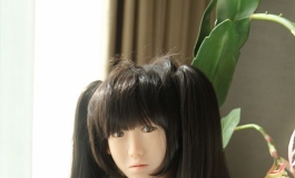 TROTTLA kurogallrey【转载】