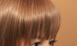 TROTTLA gallerysisaku【转载】