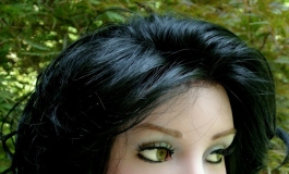 The Doll Album toonist（002）【转载】