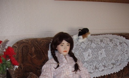 The Doll Album Textile Doll（001）【转载】