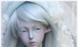 Tumblr_麗しの160cmドールarchive（018）【转载】