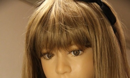 TROTTLA galleryfake【转载】