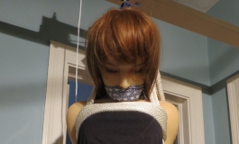 The Doll Album ghlb（001）【转载】