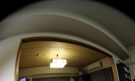 心ちゃんの写真日記（010）【转载】