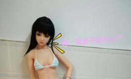小蝶的蓝白条纹