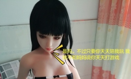 小蝶蝶的日常