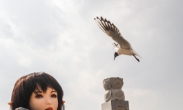 【渣外拍】带小玥去公园看海鸥~