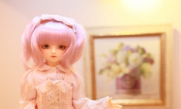 DOLL ミーたんとケロロの日記（021）【转载】