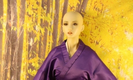 柔.紫衣