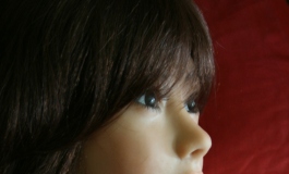 The Doll Album Eagle1（003）【转载】