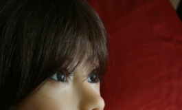 The Doll Album Eagle1（003）【转载】