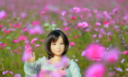 DOLL ミーたんとケロロの日記（025）【转载】