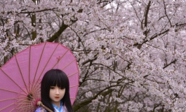 花儿与少女，小雪似花仙
