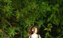 The Doll Album Mechwizard（011）【转载】