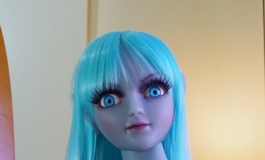 The Doll Album CNR007（020）【转载】