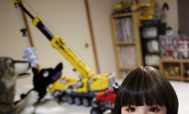 心ちゃんの写真日記（030）【转载】