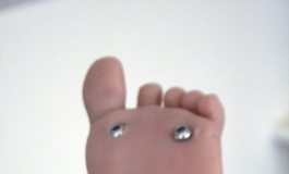 The Doll Album Stef（005）【转载】