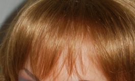 The Doll Album brigittes hubbie（007）【转载】