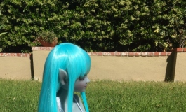 The Doll Album CNR007（025）【转载】