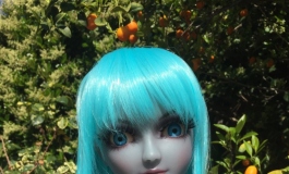The Doll Album CNR007（025）【转载】