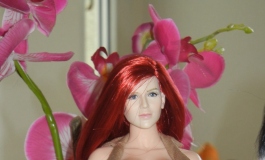 The Doll Album brigittes hubbie（008）【转载】