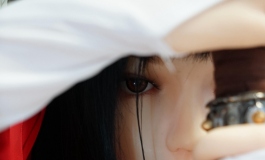 【樱毒】5月