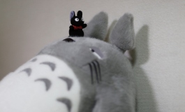心ちゃんの写真日記（033）【转载】