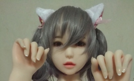 碟中蝶（床头蝶）合集 二