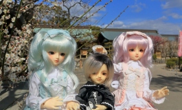 DOLL ミーたんとケロロの日記（038）【转载】