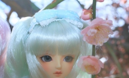 DOLL ミーたんとケロロの日記（038）【转载】