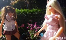 The Doll Album toonist、small_doll_fan、pastydude、GreatSoul【转载】