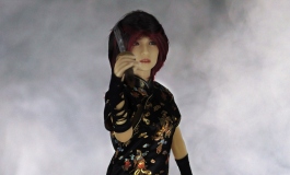 The Doll Album hansdampf21、Swan【转载】