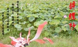 EX168+媛媛cosplay锦鲤抄