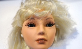 The Doll Album DDdioxine（001）【转载】
