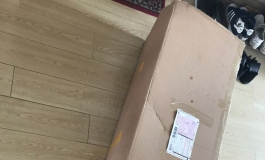 转载：EXDOLL新170开箱贴，我能当第一不？