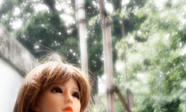 The Doll Album DDdioxine（006）【转载】