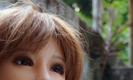 The Doll Album DDdioxine（006）【转载】