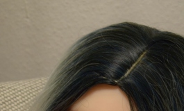 The Doll Album Dr Dollinger（002）【转载】