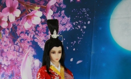 晚晴之巾帼英雌