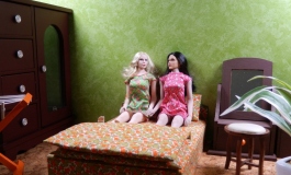 The Doll Album hansdampf21（008）【转载】