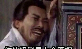 你们的娃娃都是从哪里买的啊？看着都不错